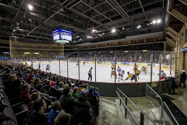 South Concourse Otters