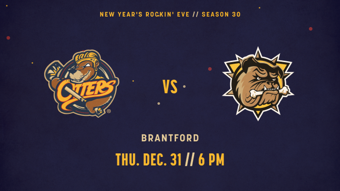 Erie Otters vs. Brantford Bulldogs
