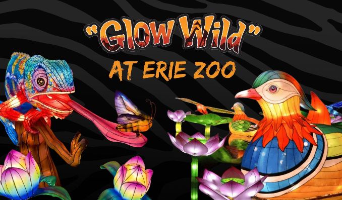 More Info for Glow Wild