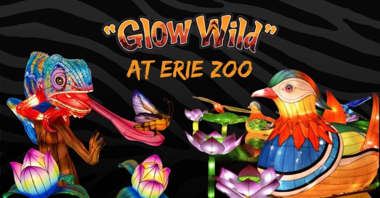 Glow Wild 